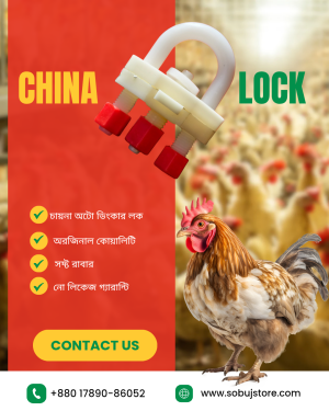 China Auto Drinker Lock(চায়না অটো ড্রিংকারের লক সেট।